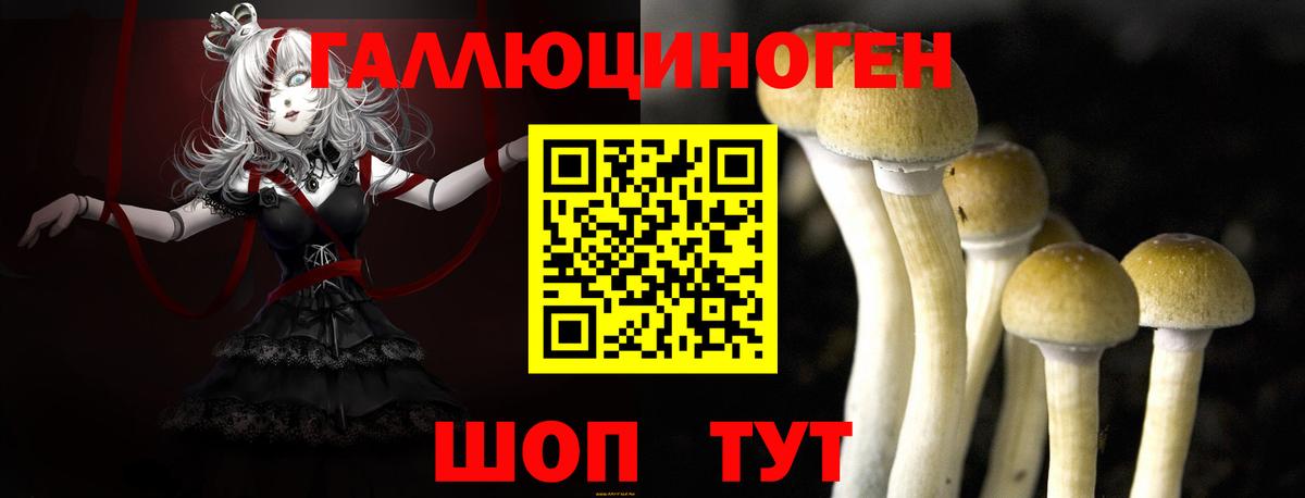 Псилоцибиновые грибы GOLDEN TEACHER  закладки  Нижний Тагил  Вход с VPN 